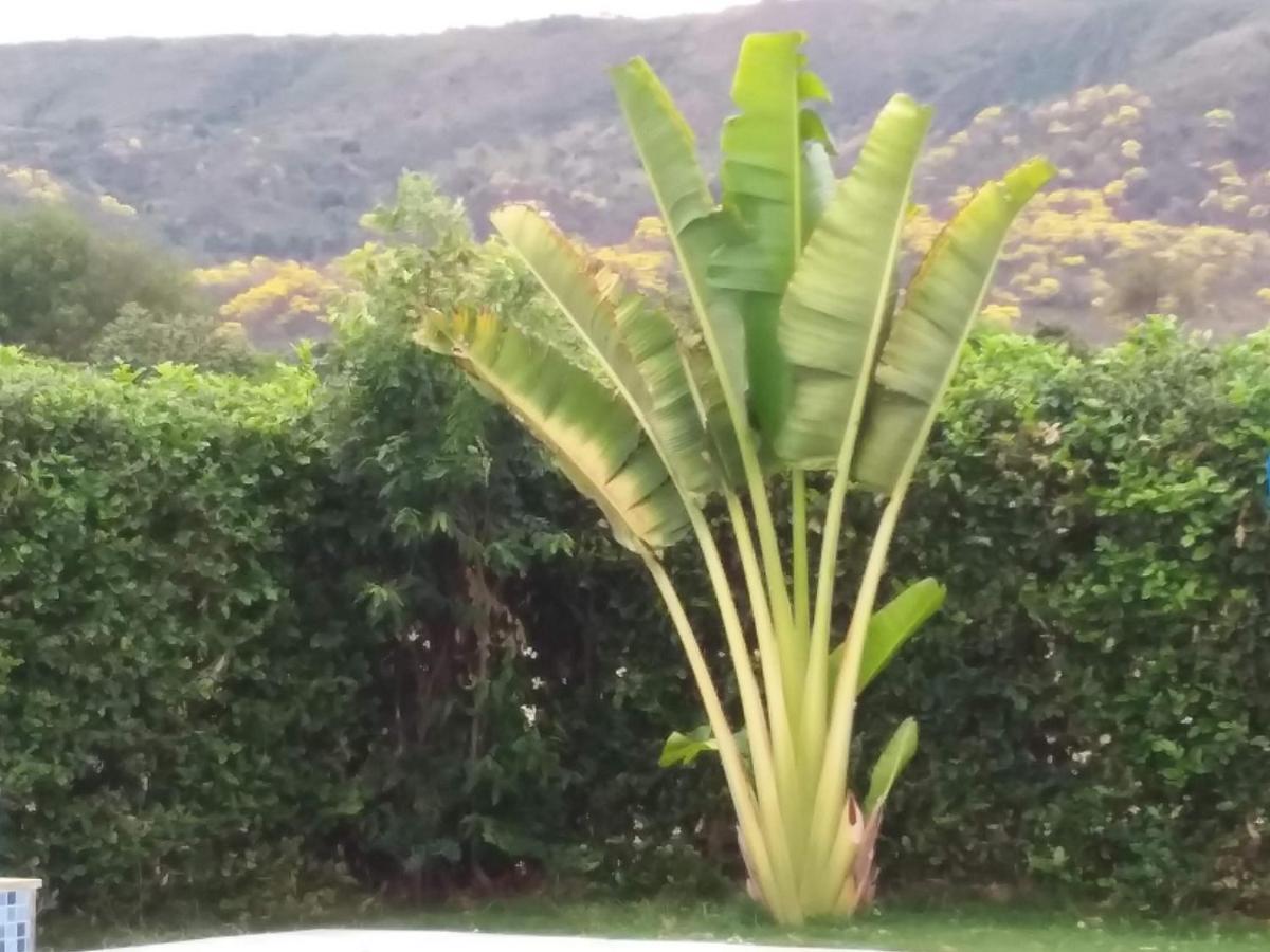 C&H Casa Campestre El Oasis Ricaurte Girardot Bed & Breakfast Ngoại thất bức ảnh